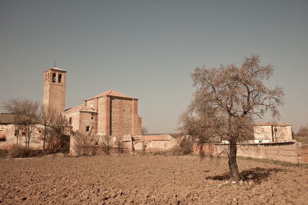 fresno de torote